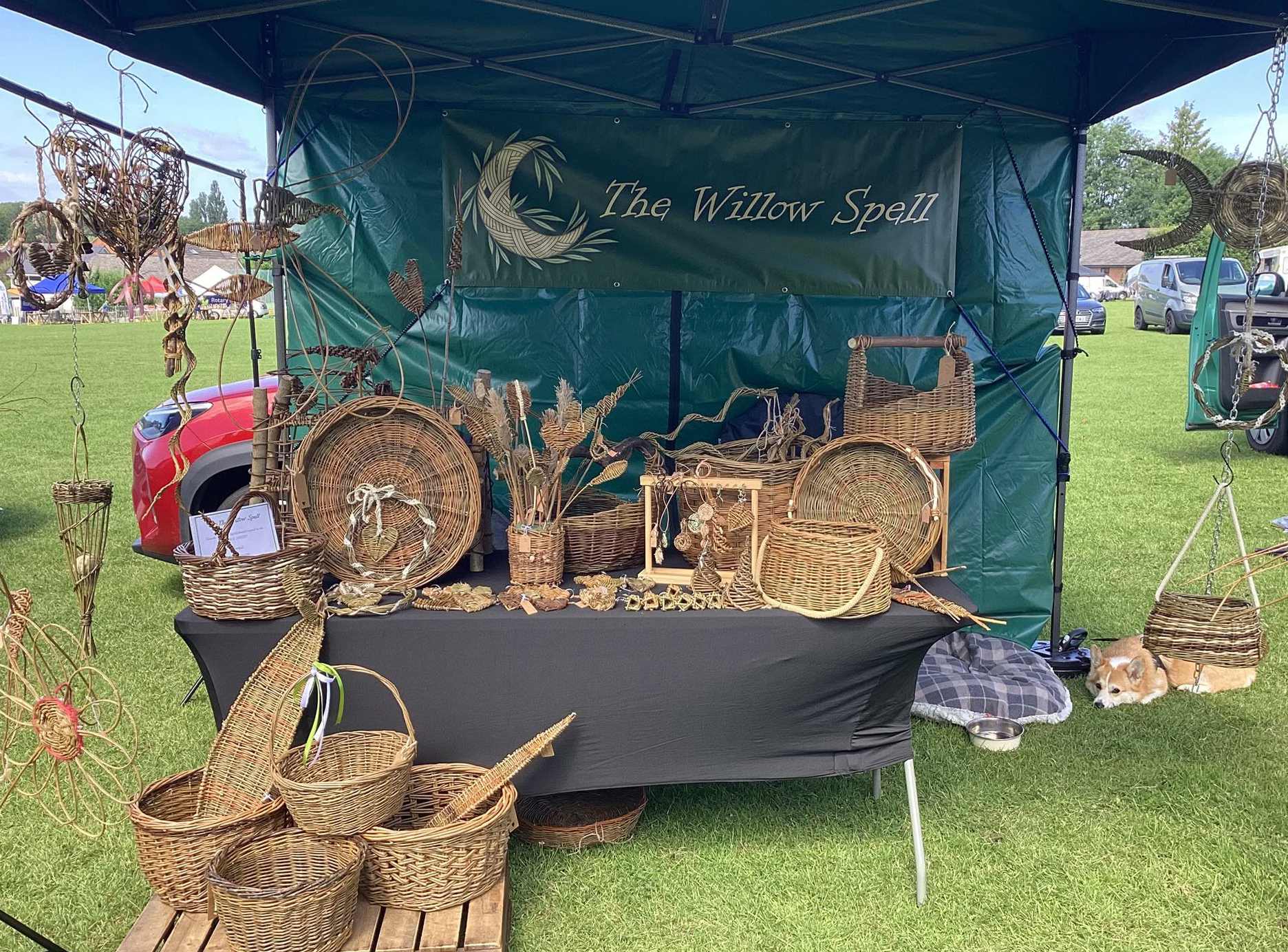 Weaving Willow