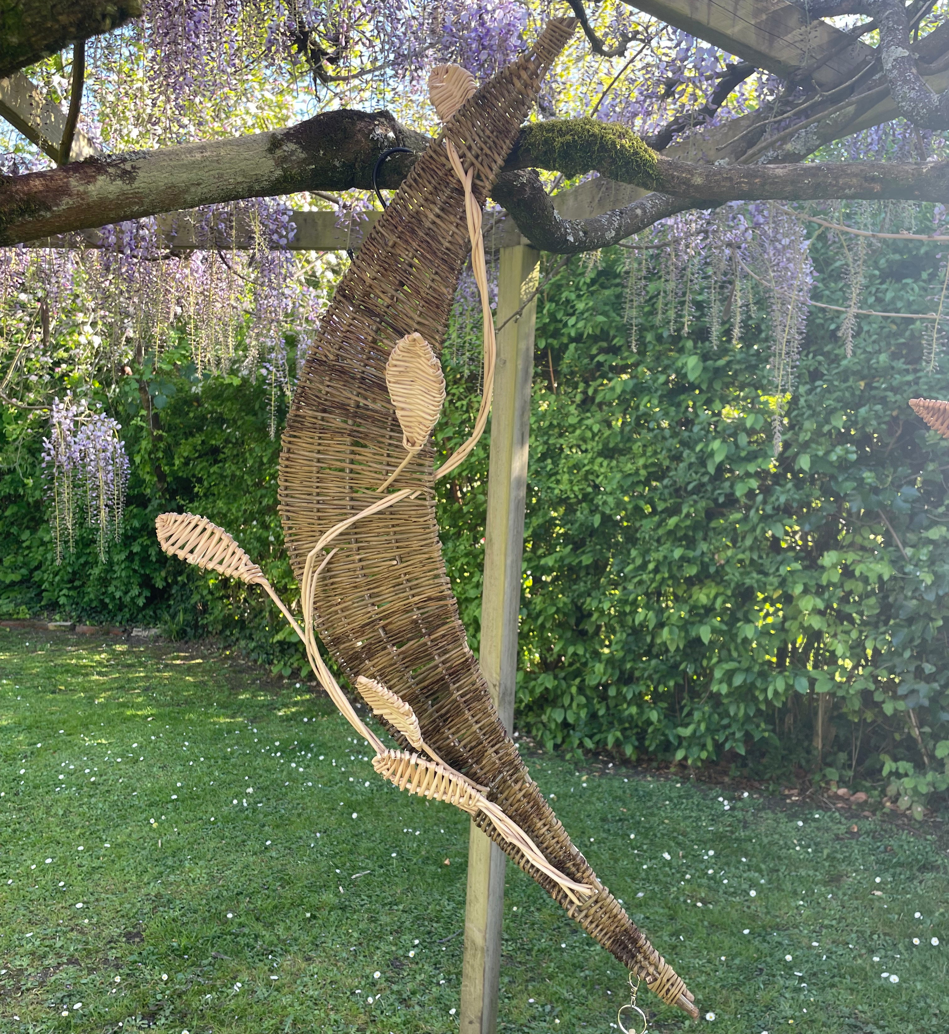 A moon made from willow